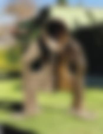 Moon Figure I (preview)