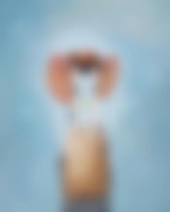 Blue Sky Portrait (preview)