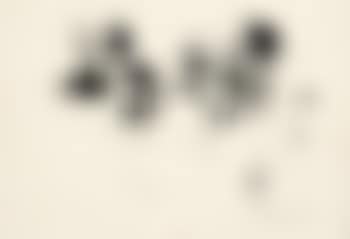 o.T. (preview)