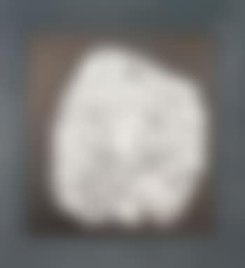 Arg (preview)