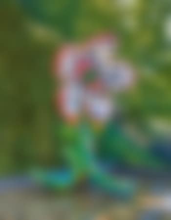 Flowers That Bloom At Midnight M3C (preview)
