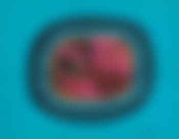 Insect (preview)