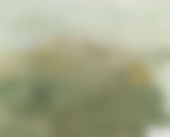 Abstraktion in Beige-grau (preview)