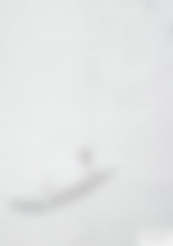 Gelehrter In Einem Boot Unter Roten Pflaumenblüten (preview)