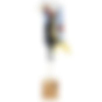 Divertimento (preview)