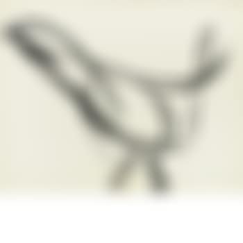 Abstract (preview)