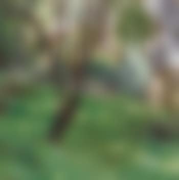 In the garden, Summer (preview)