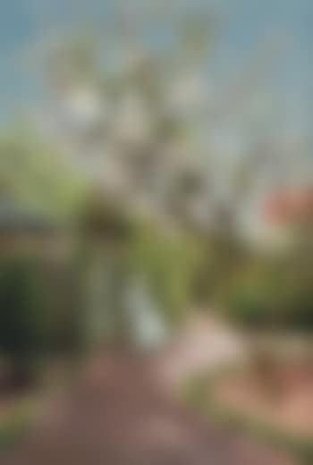 Under the blossom tree (preview)