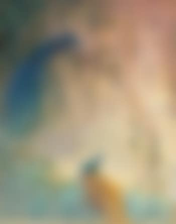 Les Paons (preview)