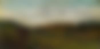 Landscape (preview)