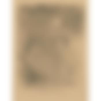 Etoiles filantes; Les vieux papillons (W. 131, 137; D. 136, 142; Adr. 152, 160) (preview)