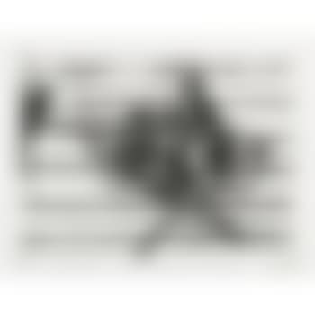 Untitled, from Harvey Gantt Portfolio (G. 1452) (preview)