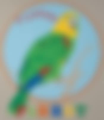 Parrot (from the Decade portfolio) (preview)