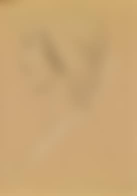 Portrait of a girl in profile, study for the painting (preview)
