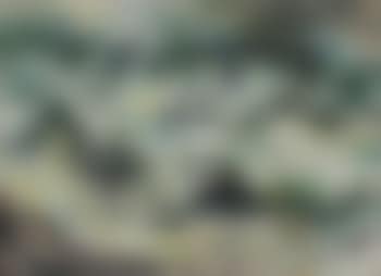 Bali Seas (preview)