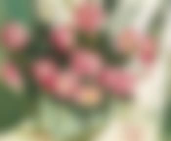 A Vase of Flowers (preview)