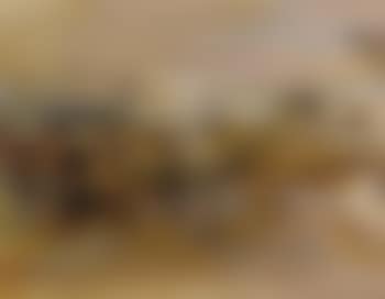 11.03.65 (preview)