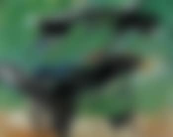 Abstraction (preview)