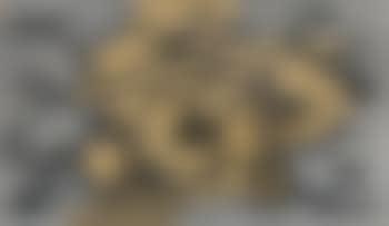 Reticolo (preview)