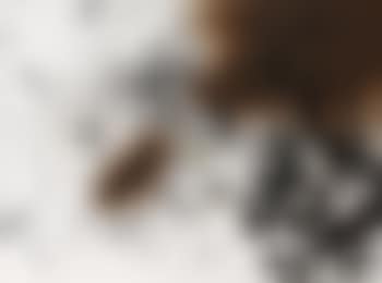 Sans titre (preview)