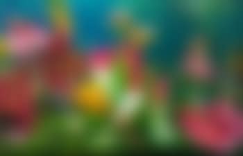 Garden (preview)