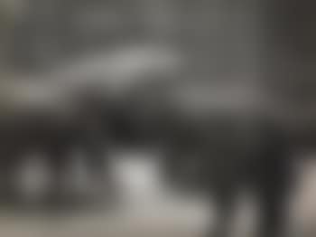 Rockefeller Center, éléphants, New York (preview)
