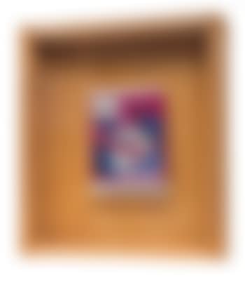 Wirtschaftswert. Spültuch (preview)