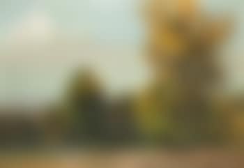 Trees in Autumn (preview)