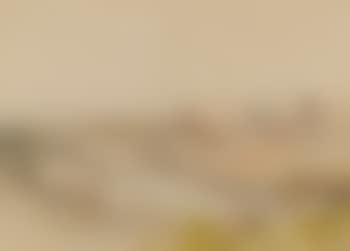 Florence (preview)