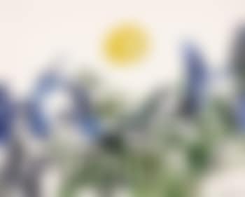 Untitled (preview)