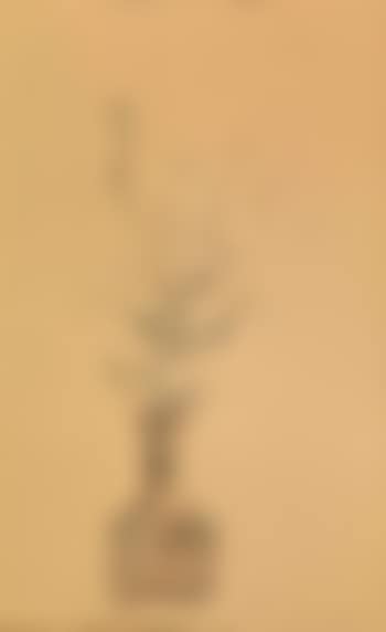 Flower Vase (preview)