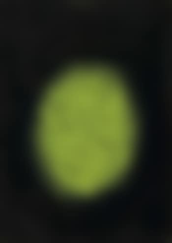 Abstract (preview)