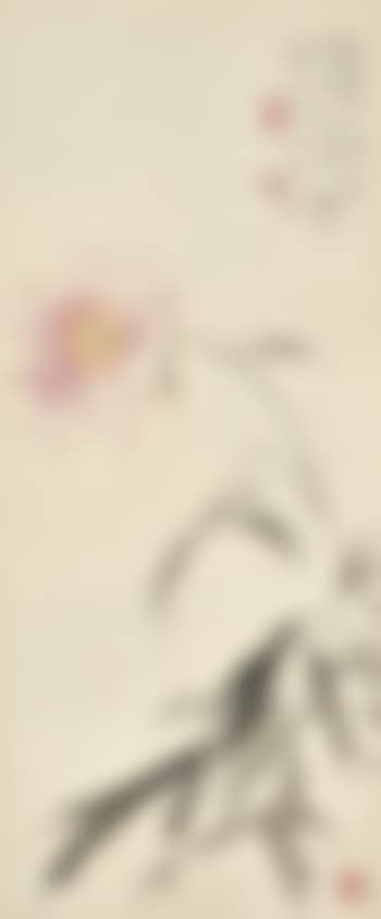Peony (preview)