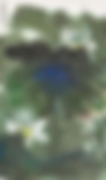 Lush Lotus Pond (preview)