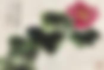 Hibiscus (preview)