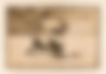 La Tauromaquia (Delteil 224-263; Harris 204-243) (preview)