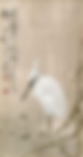 Egret (preview)