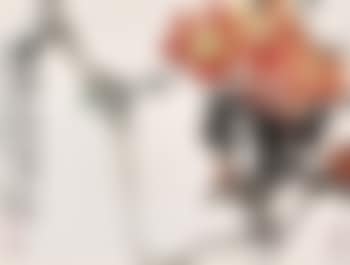 Flowers and Insects (preview)