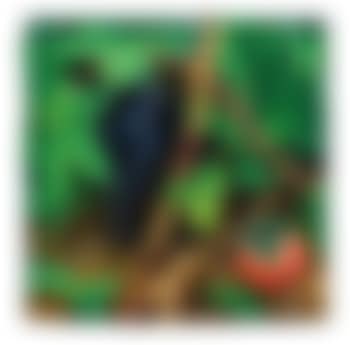 Uva e caco (preview)