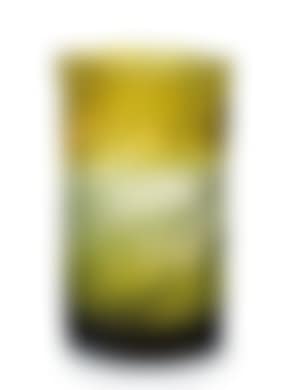 A vase decorated with fern (preview)