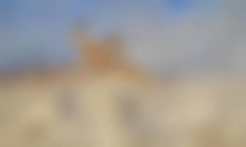 Swalla antelope in flight (preview)