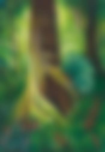 Tropical Forest (preview)