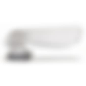 Petite libellule (preview)