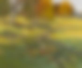 Paysage dans le Jura (preview)