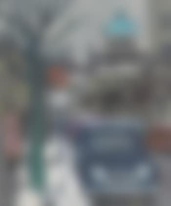 Bundesgasse (preview)