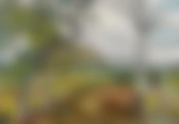 Herbstlicher Weinberg (preview)