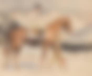 Jockey vor Winterlandschaft bei Bevers (preview)