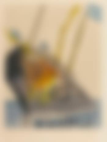 We shall go up at once and possess it (preview)