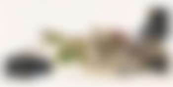 Konvolut (preview)