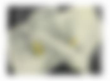Two Calla Lilies (preview)